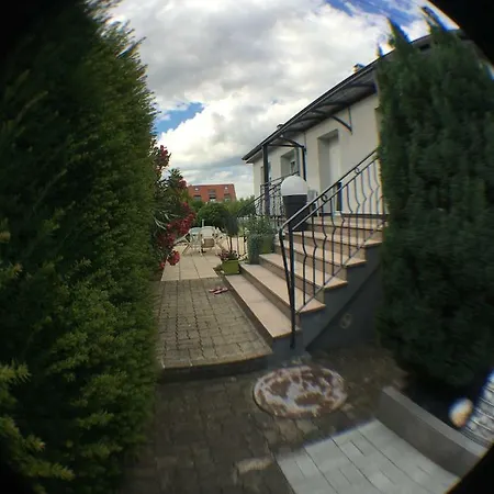 Eguisheim Village Prefere Des Francais Grand Studio Exterior foto